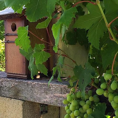5 Lasserre Moulon-sur-Dordogne Екстериор снимка